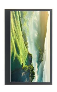 Wholesale 4.3&quot; Raspberry Pi Module 800x480 MIPI IPS TFT LCD Module Display Monitor Screen from china suppliers