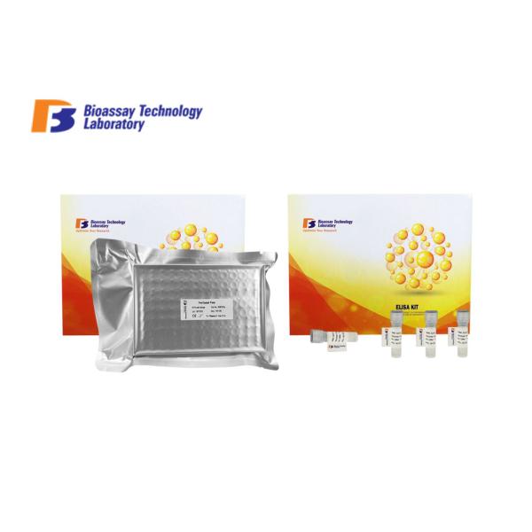 96 Well Plate Rat High Precision and Sensitivity Fibrinogen Immunoassays Test