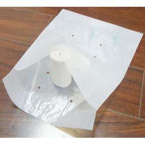 Custom design plant based compostable biodegradable mail courier handle bio eco