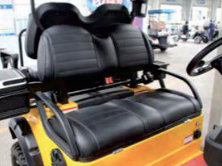 Rust-proof D302 All-Terrain Performance Golf Cart with High-Strength Composites and Independent Rear Suspension