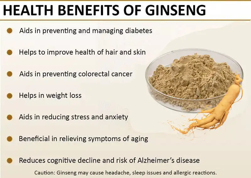 Ginseng extract powder benefits Ginseng Extract Powder 10%-80% Ginsenoside