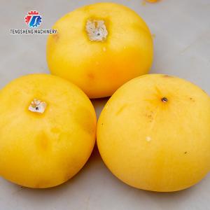 220V Industrial commercial fruit and vegetable peeler Apple pear persimmon
