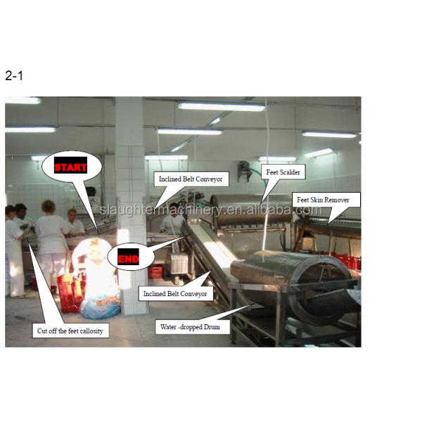 Chicken feet processing line