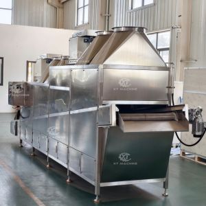 Fully Automatic Peanut Coating and Frying Production Line with 800-800kg/h,