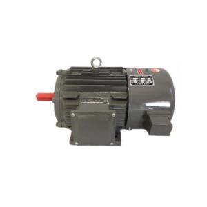 YVF2 Series Frequency Controlled 3 Phase Asynchronous Motor IP55 380V Rated