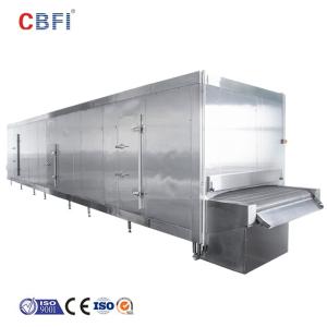 China 1000KG/H Blast Freezer Tunnel Cold Storage Refrigeration Equipment Frozen Custom Marketing Key on sale