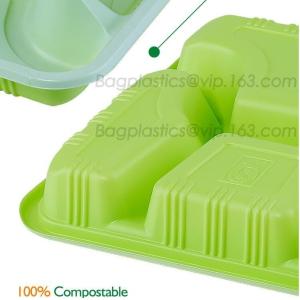 School use high quality biodegradable lunch plate for students, children plate