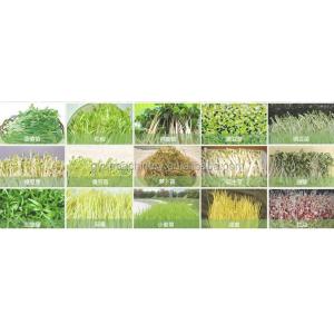 2024 Advertising C Harvester Machines for Harvesting Aquaponics Microgreens