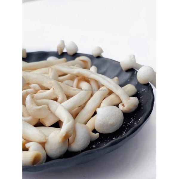 The Healthiest Vacuum Fried Vegetable Snacks of 2022 healthy dried white jade mushroom