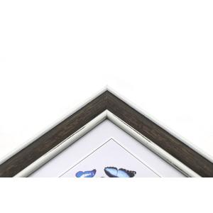 Classical Wall Art Small Picture Frames 5x7" / 6x8" / 8x10" ISO Certification