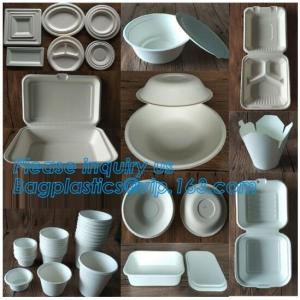 Eco Biodegradable Disposable Sugarcane Bagasse Food Container,Customize