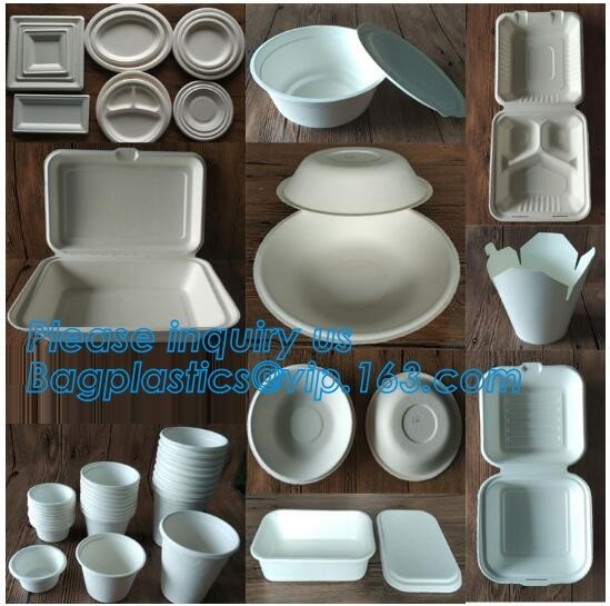 Eco Biodegradable Disposable Sugarcane Bagasse Food Container,Customize