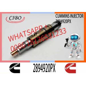 Diesel Common Rail Injector 2057401 2419679 4905880 2894920PX 2482244For C