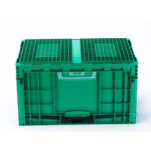Customized Logo Collapsible Crate for Warehouse Storage of Fruits and Vegetables