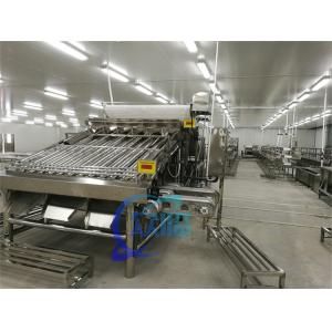 Efficient fish processing and sorting machine Fish size and specification