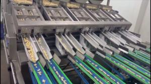 Wholesale 8-Lane Intelligent Cashew Grading Machine with AI Sorting and Custom Design Capability AC220V ±5% Power Supply from china suppliers