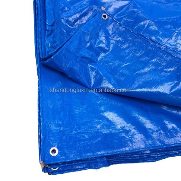 Customizable Printed PE Tarpaulin for Balcony Furniture Cover and Truck Rainproof