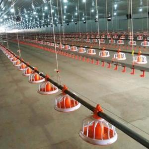 0.75kw Closed System Of Feeding In Poultry