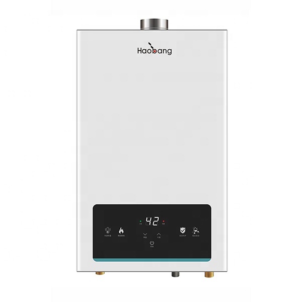 IPX2 Waterproof 12L Flue Gas Water Heater with 0.02MPa-0.8MPa Water Pressure and