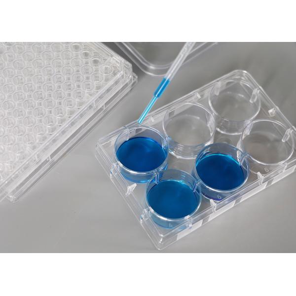 cell culture plates Disposable Plastic Cell Culture Plate Flat Bottom Multi Well Plate
