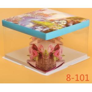 Disposable Clear/transparent Sandwich/cake Plastic Food Container/box/packaging
