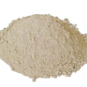 25-45 Mpa Powder Castable Refractory for Customized Proof Fireclay Mortar