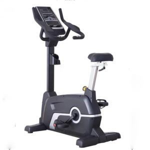 Befreeman Professional Commercial Use Cardio Exercises Magnetic Upright Exercise