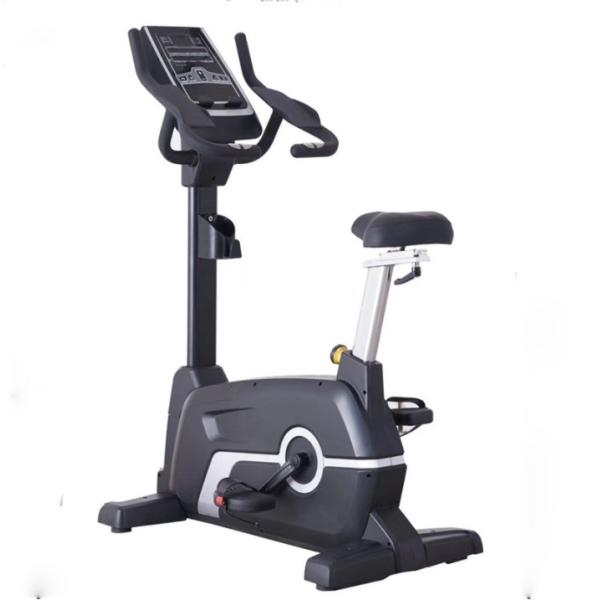 Befreeman Professional Commercial Use Cardio Exercises Magnetic Upright Exercise