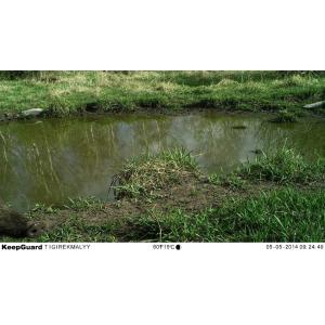 Scouting Trail Digital Infrared Hunting Camera / Hunter Cameras in Camouflage