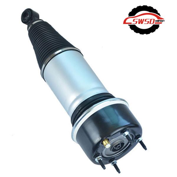 C2C41343 C2C41341 Rear Shock Absorber
