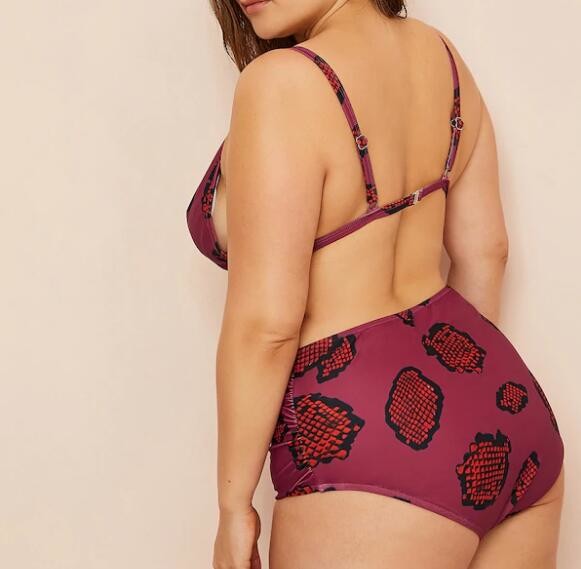 2019 bikini Plus Triangle Top With Ruched High Waist Bikini VNSF009 for USA