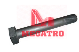 Structural Bolt