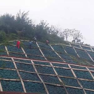Tenglu Road Slope Protection and Lake Protection Geobag for Ecological