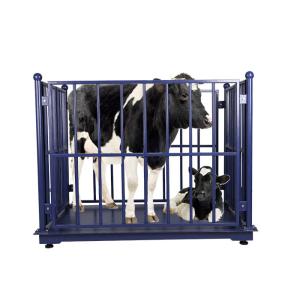 Dynamic ODM 100Kg Weighing Scale For Live Pigs