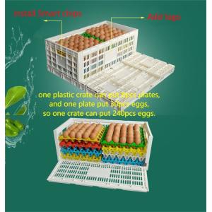 Versatile and Stylish Orange Egg Crate for Storing Fresh Eggs in Plastic Chicken