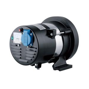 3KW Pully Belt Type High Output Alternator 100% Copper Wire 3.2KW Max Power