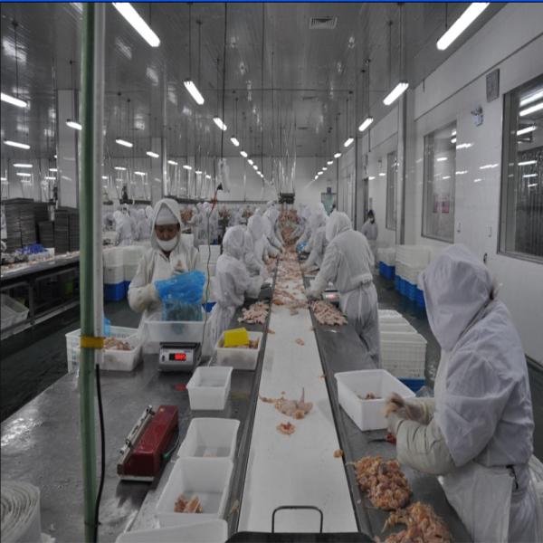 Poultry processing plant broiler cut-up sperating line packing table machine for chicken duck goose