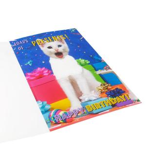 A5 20 Seconds Greeting Cards With Sound Lightweight Talking Greeting Cards