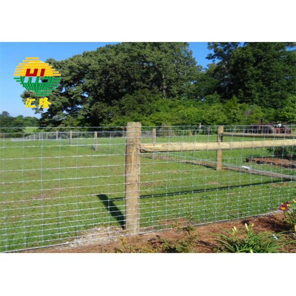Quality 5ft Height Galvanized Hinge Joint Wire Mesh For Sheep Or Cattle Farm Fence for sale