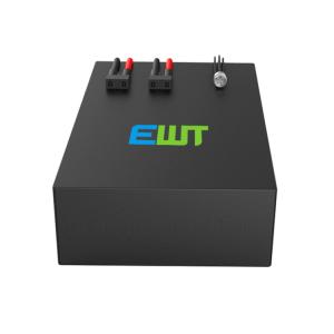 custom Deep Cycle 12V Lithium Iron Phosphate Battery Storage System