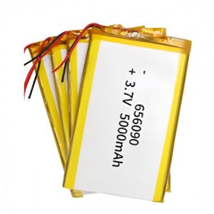 Rechargeable Lithium Battery High Capacity 5000mAh Lithium Ion Battery Cell 3.7v