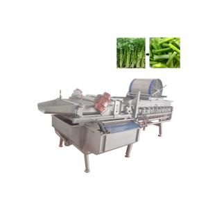 Wholesale CE Approved Broccoli Lettue 1 Ton/H Vegetable Washing Machine from china suppliers