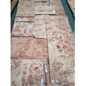 Mappa/Poplar Burl Veneer