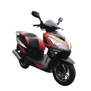 EEC DOT EPA PALADIN Ⅶ 50cc Gas 2-stroke 4-stroke single-cylinder air-cooled