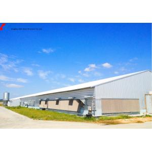 Prefab Steel Structure Poultry Farm Shed with Automated Feeding System