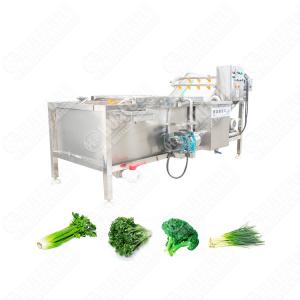 Multi-Function Food Factory Bubble Bean Washing Machine Automatic