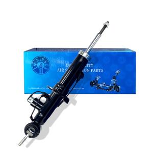 2018- Global Market Air Suspension Shock JL1Z18124C JL1Z18124A JL1Z18125C