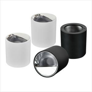 Adjustable Surface Mounted Downlight 20W 5000k CCT With Lifud Driver