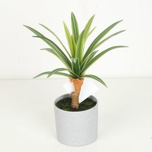 High Imitation Flexible Glue Artificial Dracaena Plant Bonsai 25 CM 32 CM