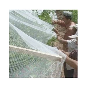 Cheap Price UV Stabilized PE Anti Bird Netting Plant and Fruit Anti Hail Netting